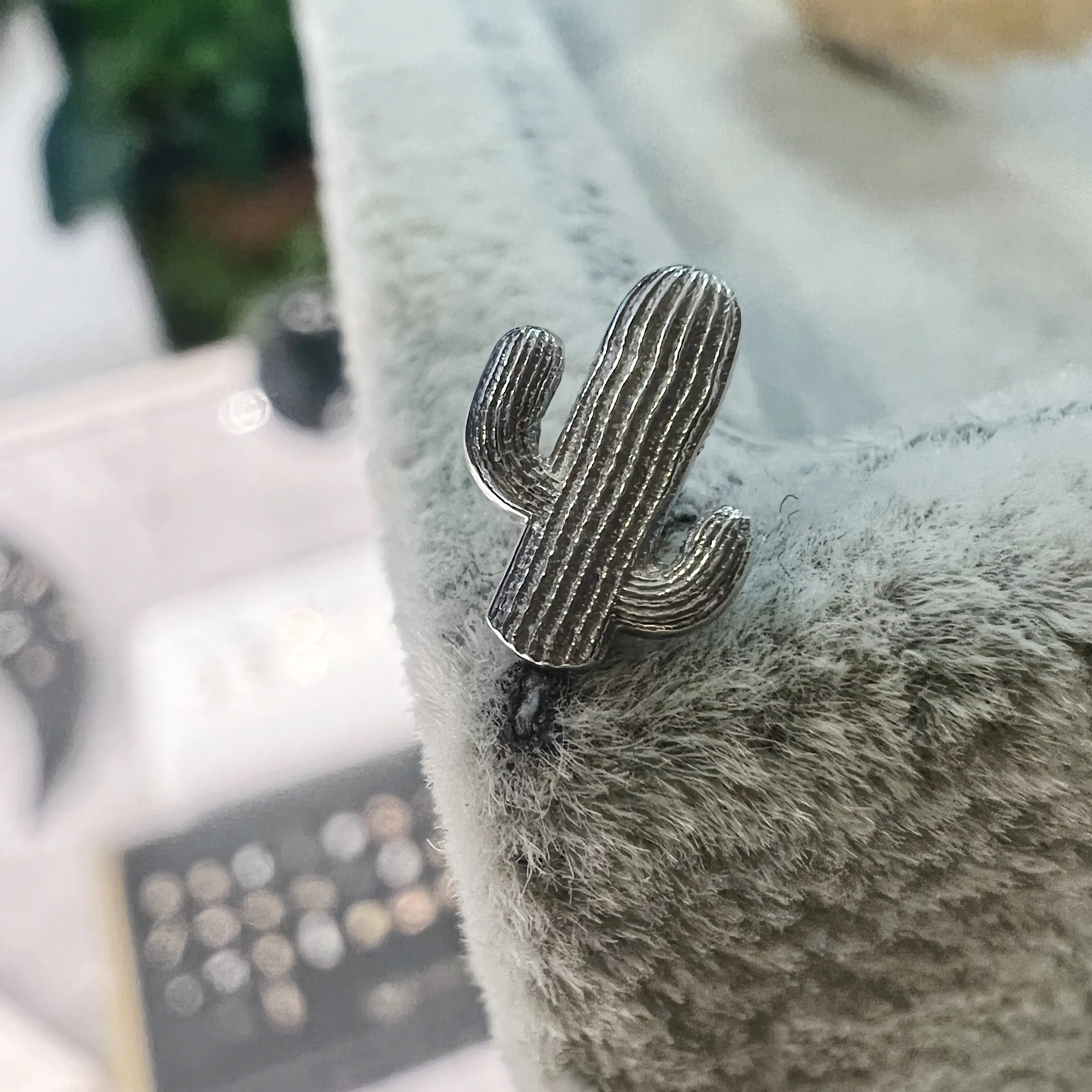 BVLA Cactus