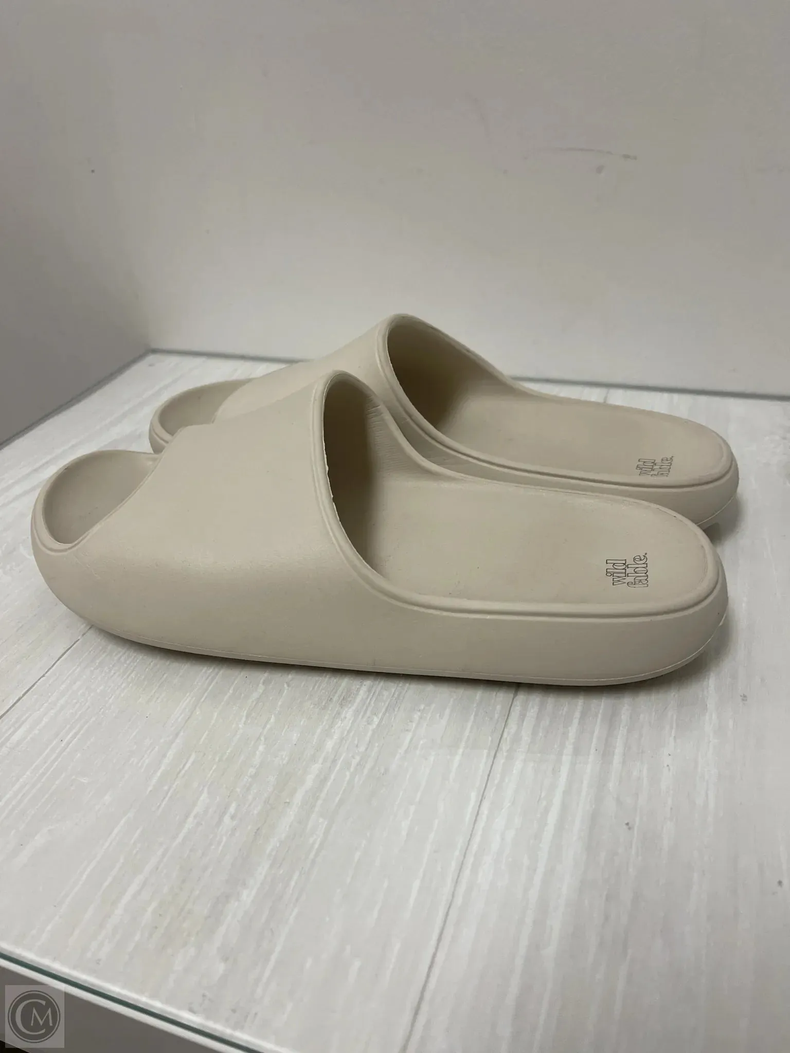 Sandals Flats By Wild Fable  Size: 9