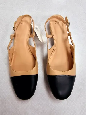 Shoes Flats By A New Day In Black & Tan, Size:11